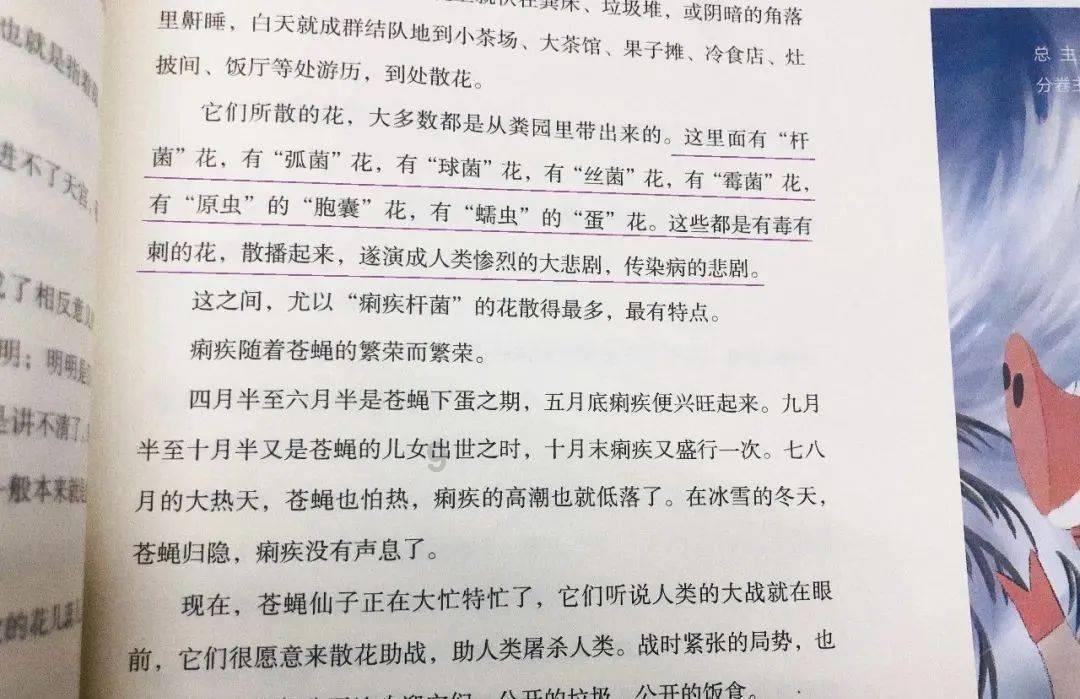 韦奕获维克安泽国际象棋大赛冠军