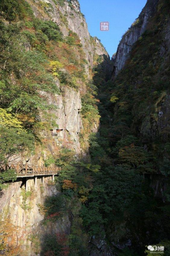 胡元坤：坚定“进城入圈”不动摇 实施两大行动