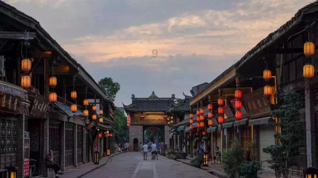 胡蜂和马蜂是一种吗